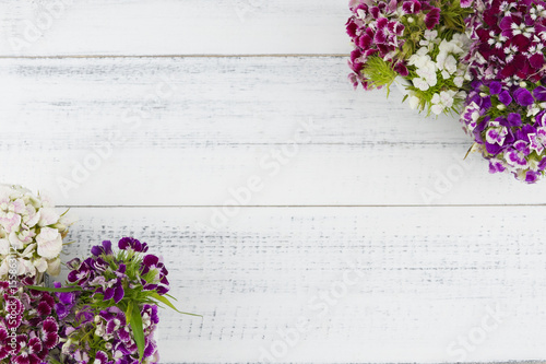Sweet william flowers bouquet on white wood background with copy space