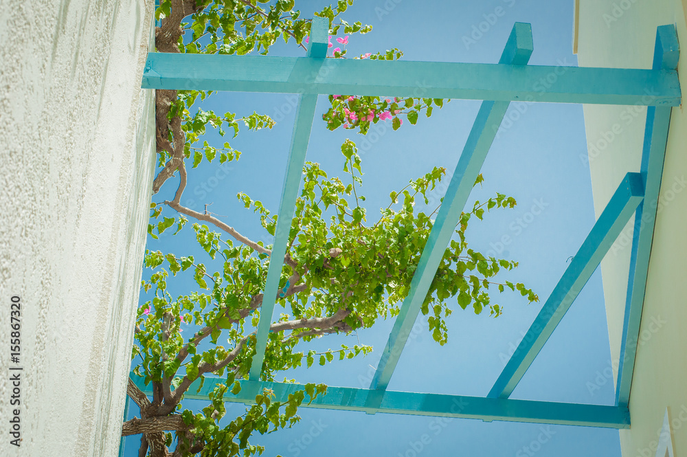Green flowers on the blue clear sky background