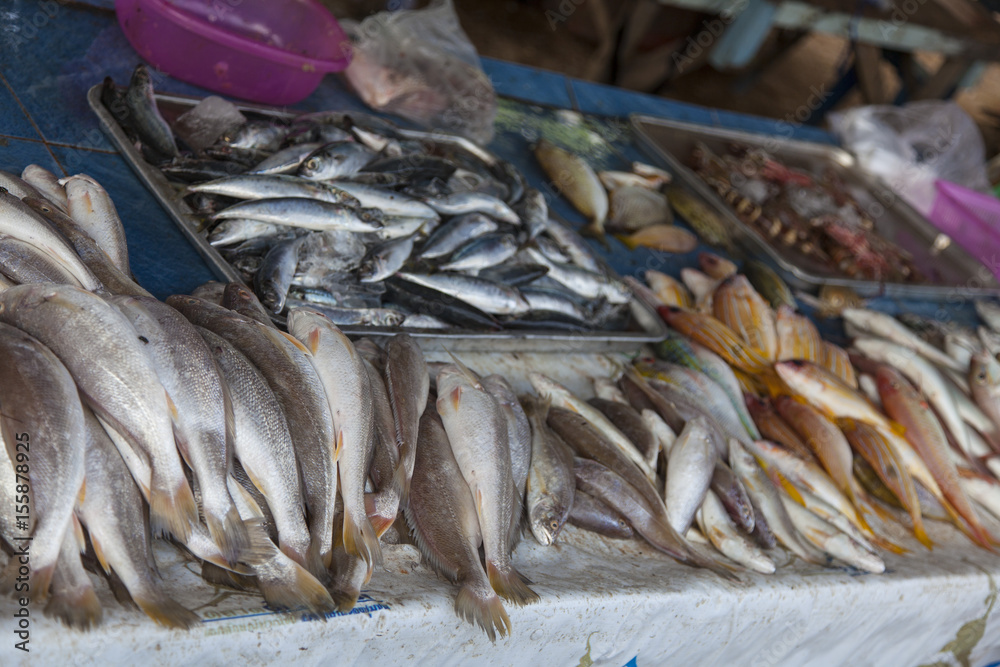 variouse, deliciouse fishes offered on a table at the market variouse, deliciouse fishes offered on a table at the market
