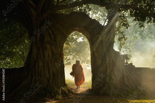 Buddhist monks are walking on green field in mist sunrise,Monks Thailand,Budha Monks,Thailand photo