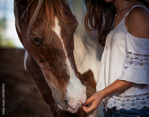 Paint Horse with Girl