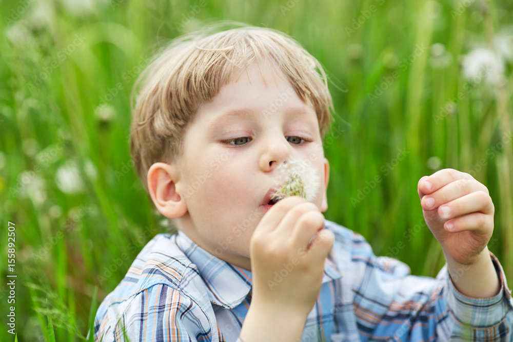 Young blond boy in meadow blowing on dandelion seeds Young blond boy in meadow blowing on dandelion seeds