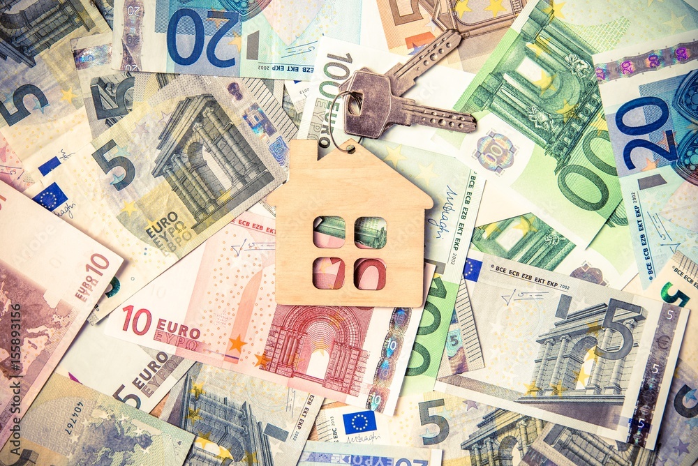 The symbol of the house lies on the background of the Euro The symbol of the house lies on the background of the Euro