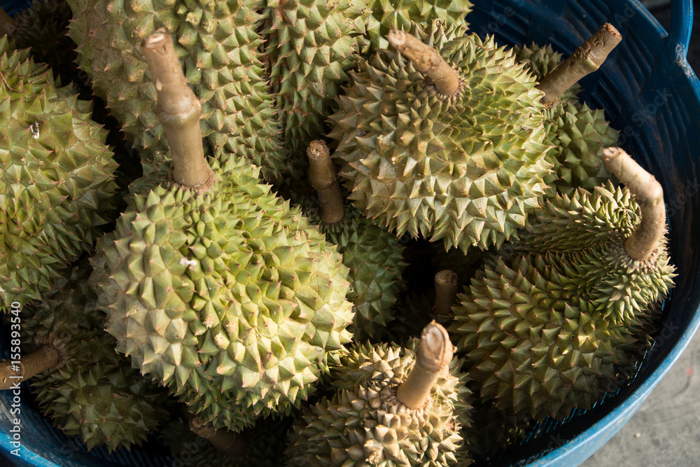 Durian in basket at market Durian in basket at market