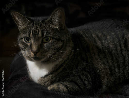 Emily posing