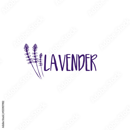 Fototapeta Naklejka Na Ścianę i Meble -  Template logo design of abstract icon lavender. Vector illustration
