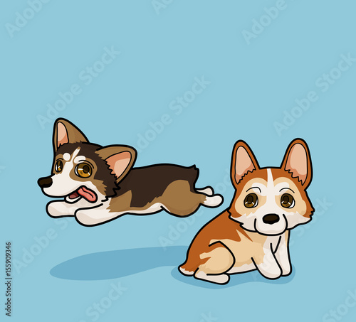 Vector illustration two cute Corgi have fun time in cartoon style