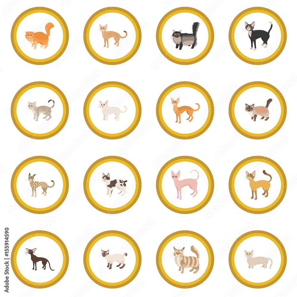 Cat icon circle