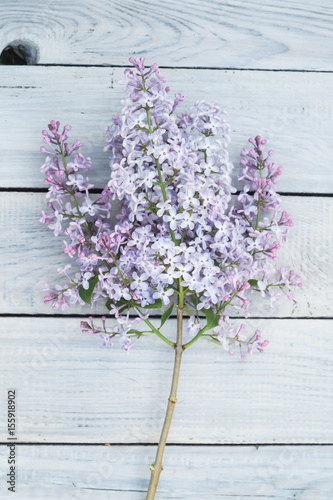 Lilac branch on a white wooden table