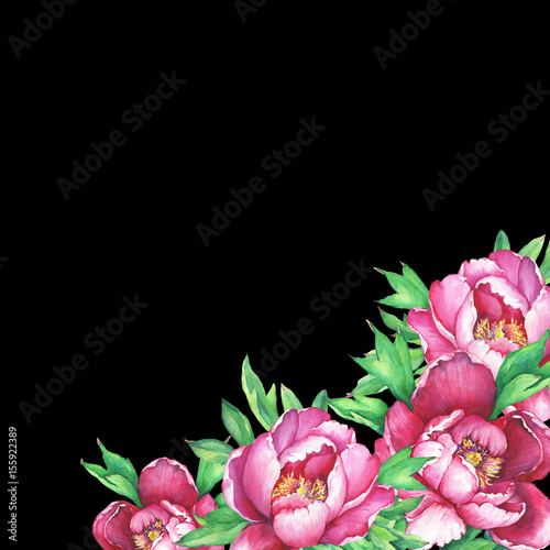 Banner with flowering pink peonies  isolated on black background. Watercolor hand drawn painting illustration.