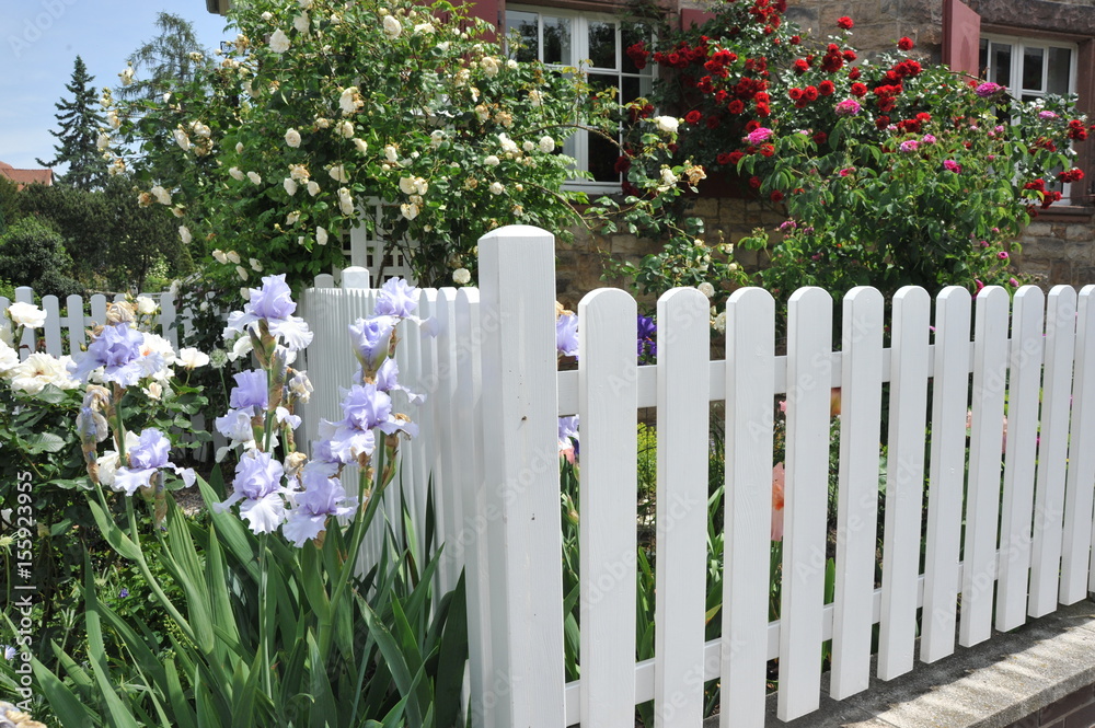 Weißer Lattenzaun um einen Vorgarten mit Rosen und Iris als Grundstücksabgrenzung