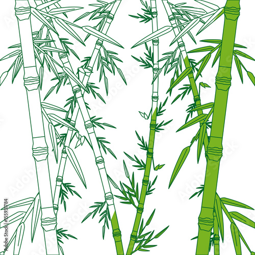 bamboo forest set. spa nature. plant tree with leaves. vector illustration