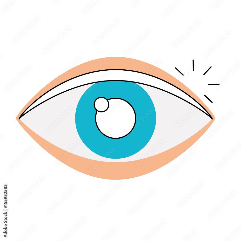 eye human isolated icon vector illustration design eye human isolated icon vector illustration design