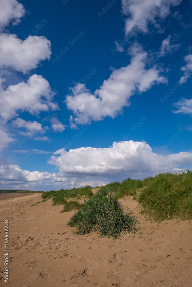 Deserted beach and sand dunes
