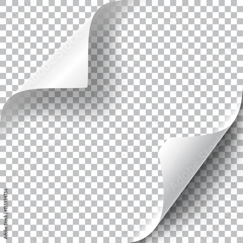 Curly Page Corners set