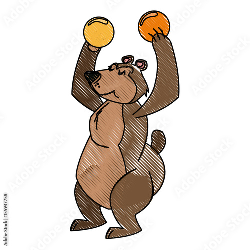 circus bear animal funny entertainment vector illustration