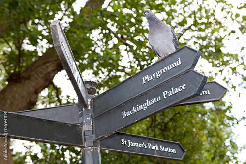 Pigeon perched on a sign in St James's Park, London photo