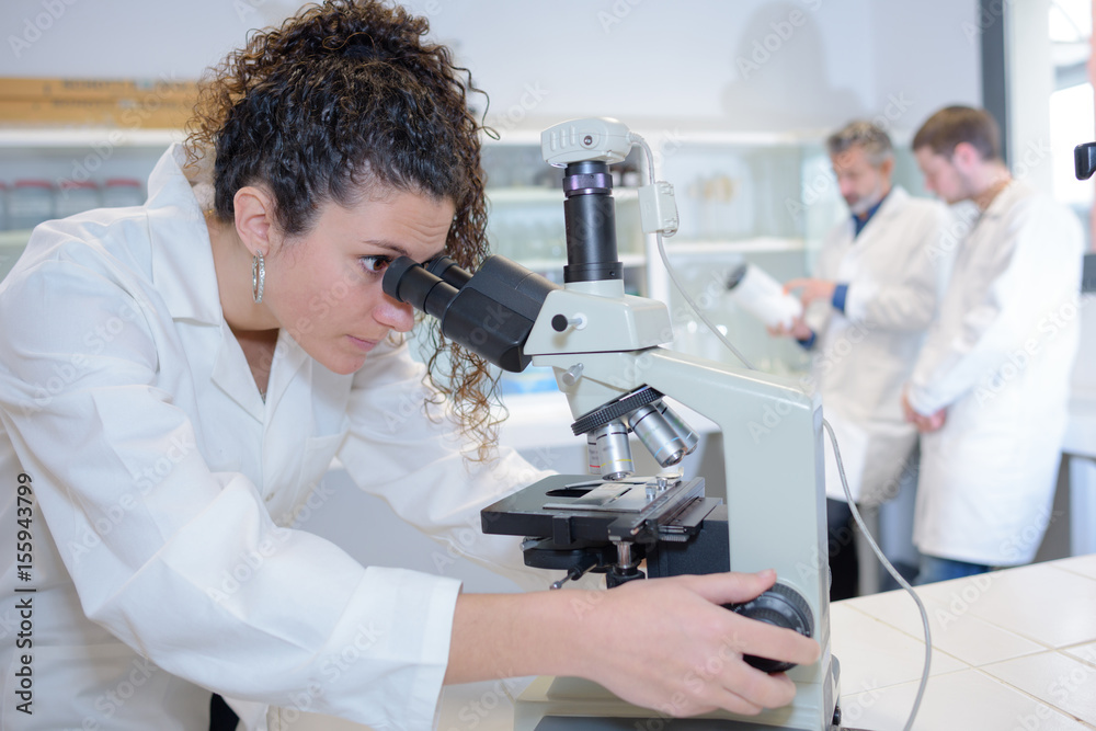 observation under the microscope Stock Photo Adobe Stock