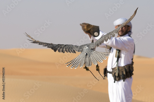 falcon and falconer training it in a desert