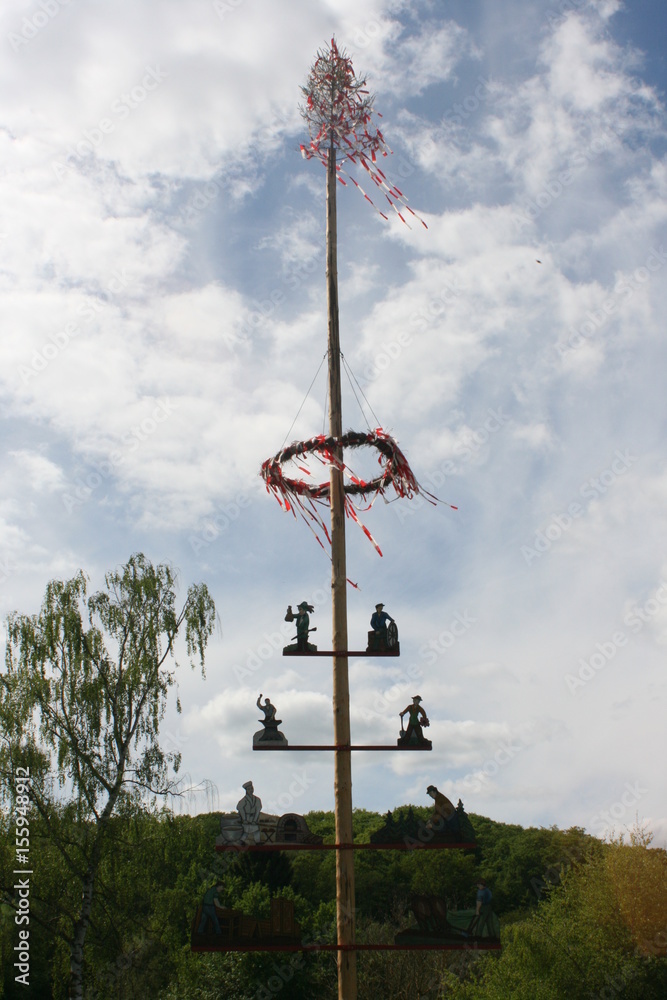 Obraz premium Maibaum