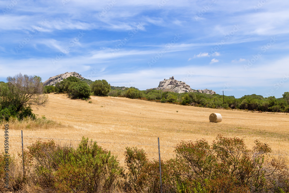 The island of Sardinia, Italy. Rural landscape in Arzachena