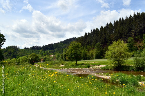 Photos Dreisam im Frühling
