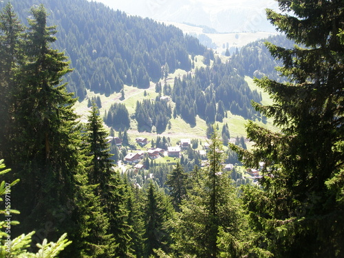 the mountains air plants shine house joy Open space picture love rose flower food Pancakes Europe America smile NATURE HUMAN BEAUTY mirror RECREATION model Pleasure YOUTH A LIFE ENERGY LOVE SALES COMM