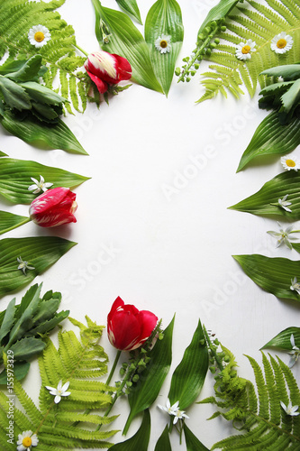 Top view of tulips, fern and chamomiles photo