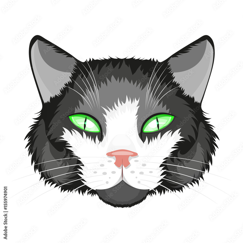 Obraz premium Cat face illustration