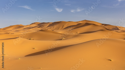 Panoramic view of sand dunes of Erg Chebby  Merzouga  Morocco