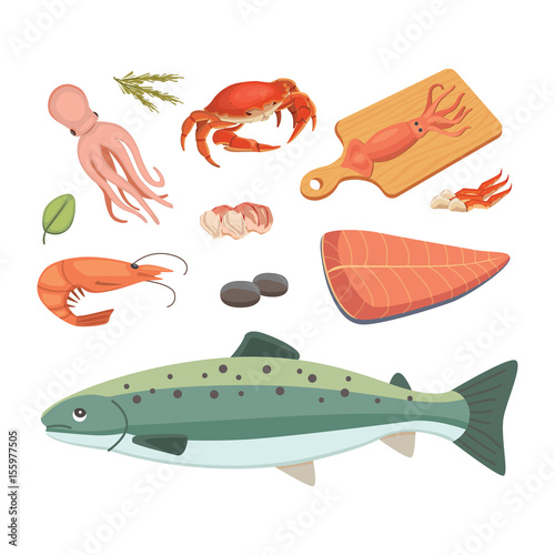 Vector Seafood illustrations set flat fresh fish and crab. Lobster and oyster, shrimp and menu, octopus animal, shellfish lemon.