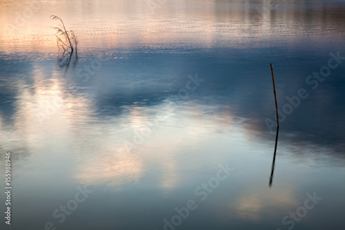 Trunks in water with sky reflections photo