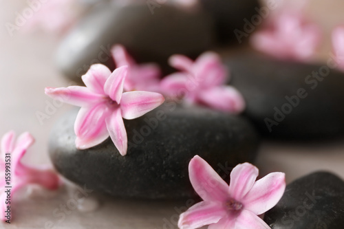 Spa stones and hyacinth  closeup