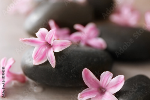 Spa stones and hyacinth, closeup