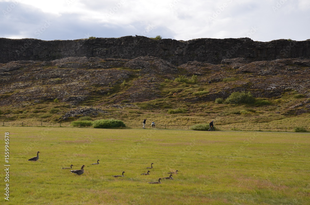 Thingvellir National Park in Iceland Thingvellir National Park in Iceland