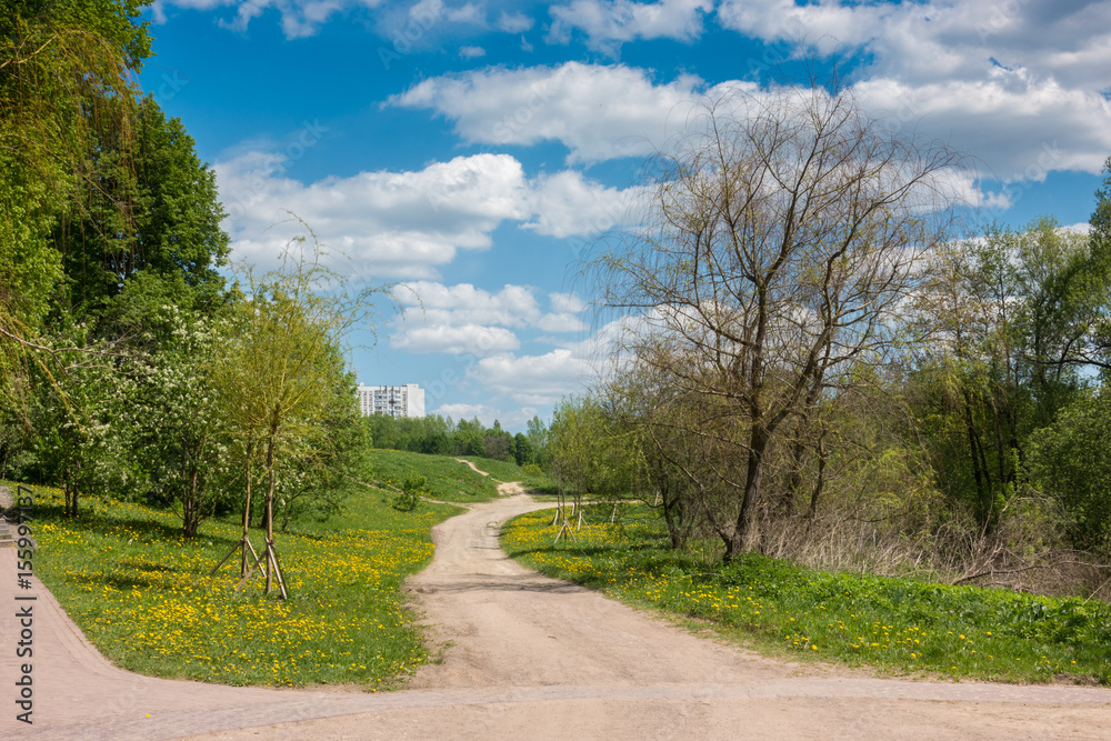 Road in the spring park