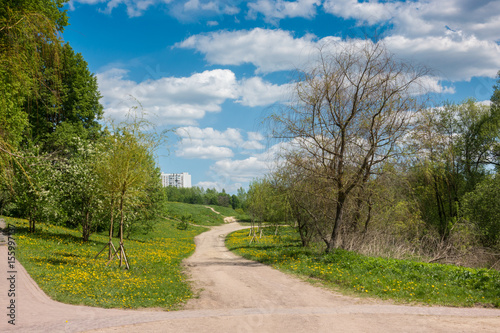 Road in the spring park © fortsite