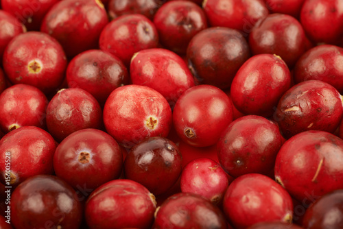 Surface coated with the cranberries