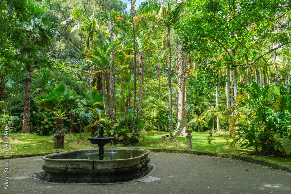 A quiet corner in Parque Terra Nostra, surrounded by tropical vegetation, Sao Miguel, Azores, Portugal A quiet corner in Parque Terra Nostra, surrounded by tropical vegetation, Sao Miguel, Azores, Portugal