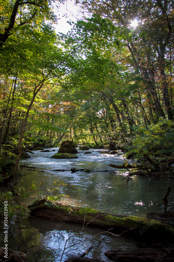 Idyllic nature of Oirase Gorge, Aomori, Japan Idyllic nature of Oirase Gorge, Aomori, Japan