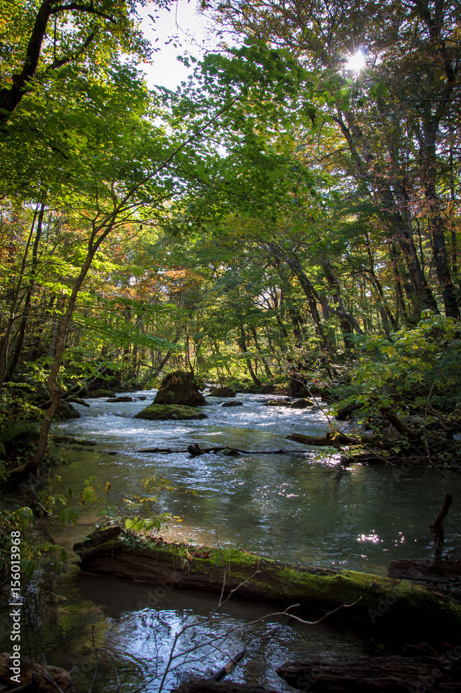 Idyllic nature of Oirase Gorge, Aomori, Japan