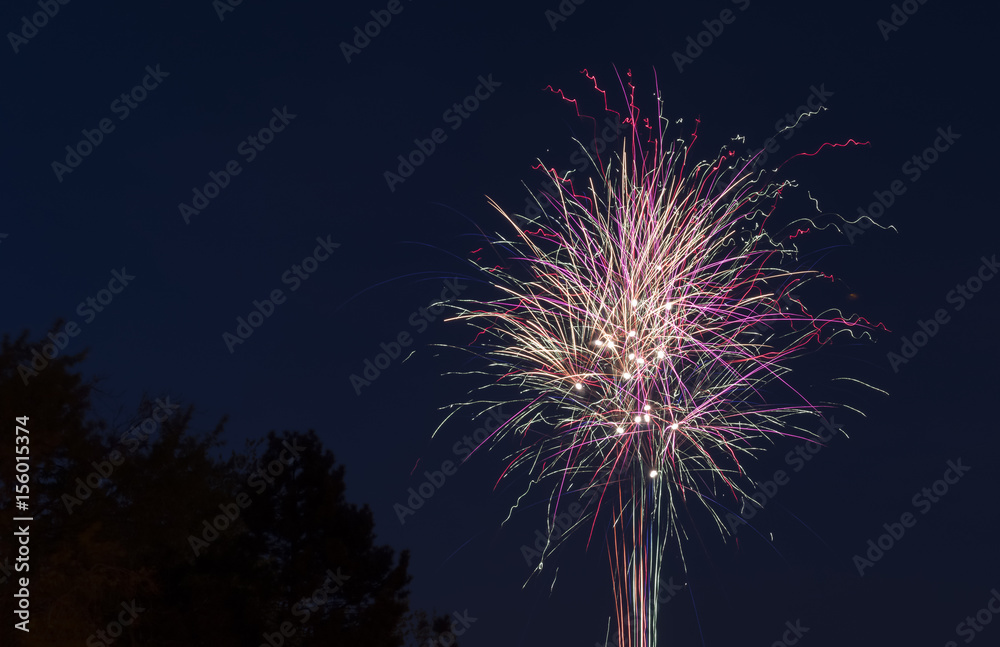 Colorful fireworks twirling and shining in the night sky, set against dark trees