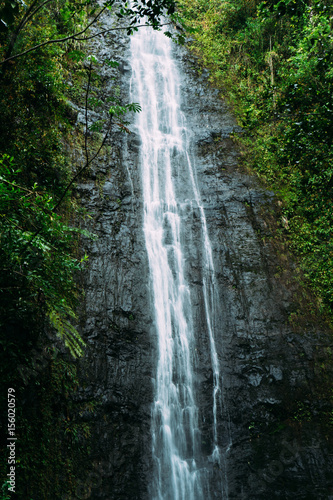 Manoa Falls  Hawaii