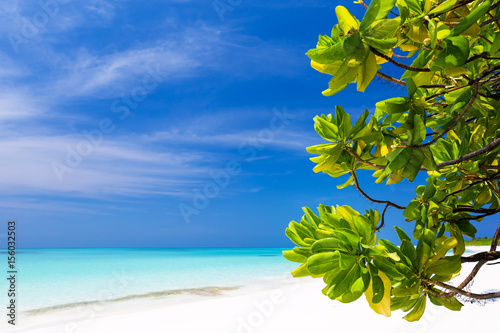 Maldives island, perfect getaway © photopixel