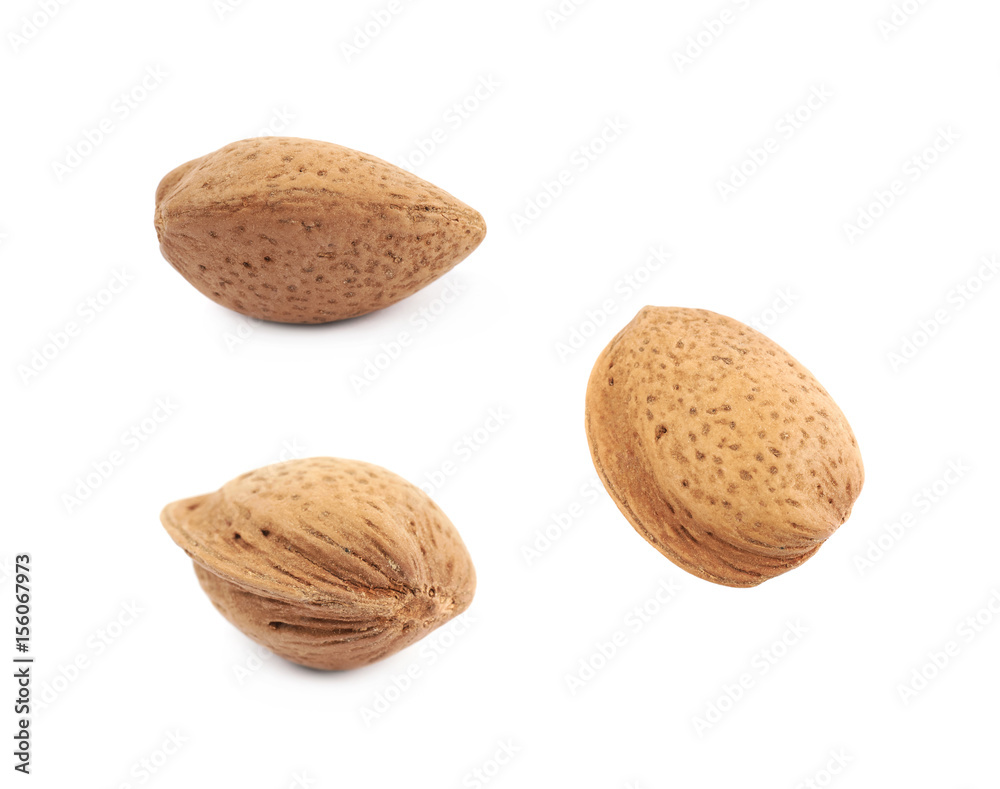 Single almond nut isolated Single almond nut isolated