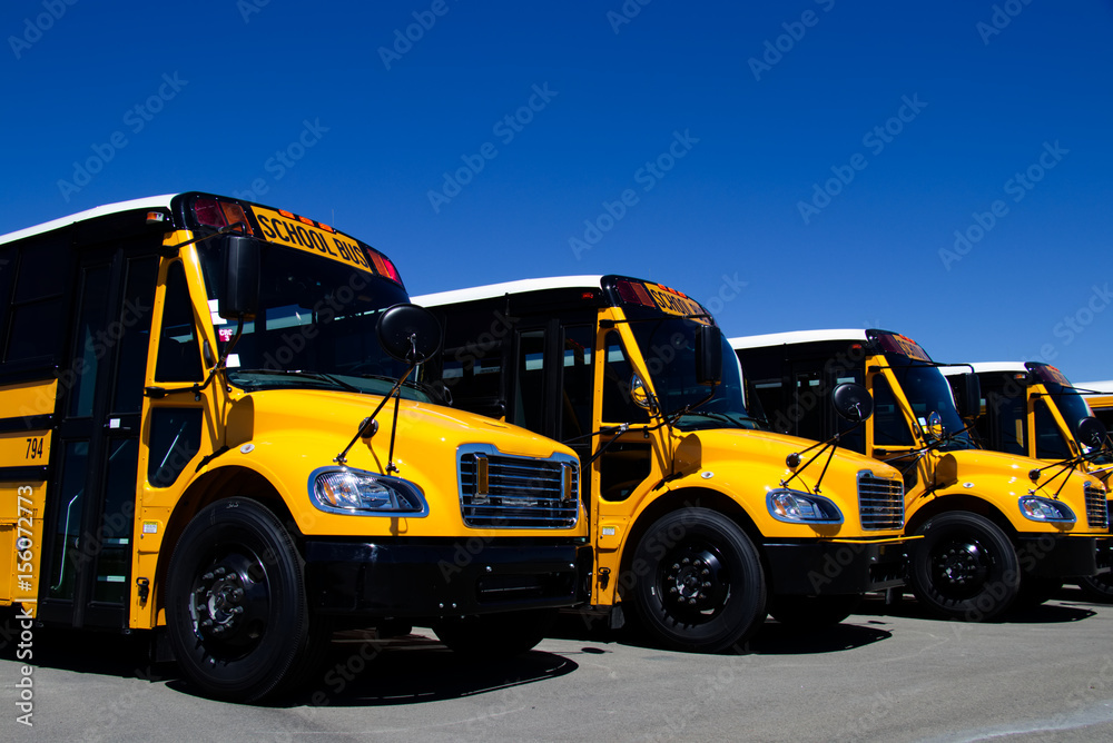 A row of brand new yellow school buses at a dealership. All markings and trademarks have been removed.