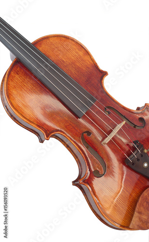 violin on white