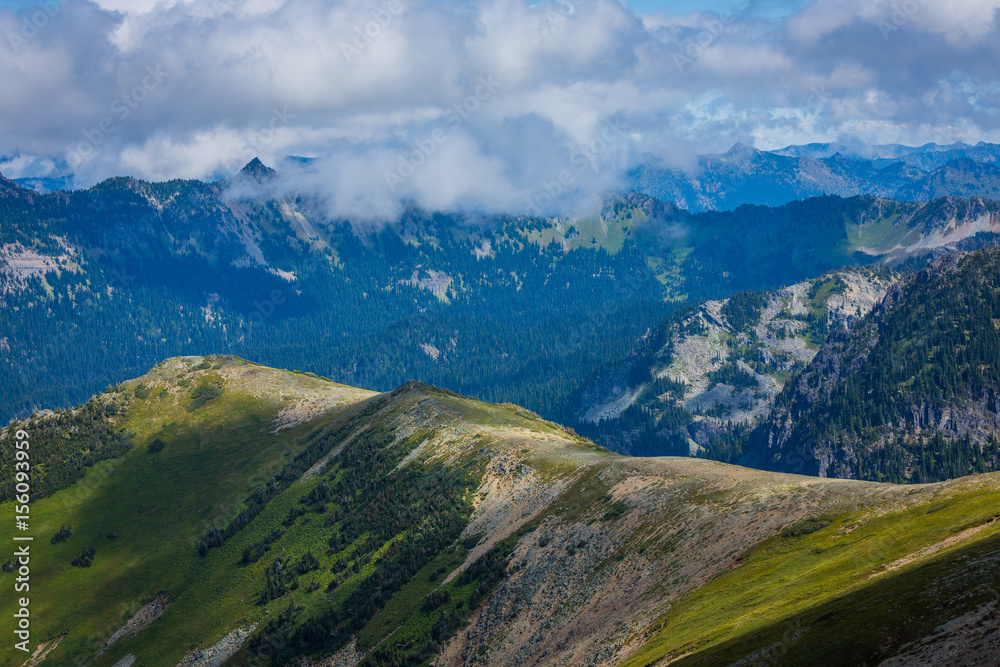 Summer landscape in mountains. View from FREMONT LOOKOUT TRAIL, Mount Rainier.