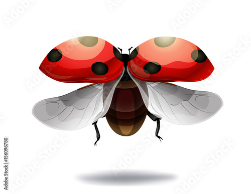 flying ladybug on white background. vector illustration