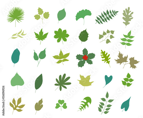 set of various types of leaves on white. vector illustration